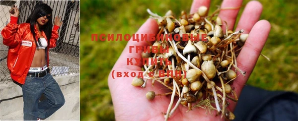 бошки Богданович