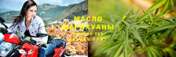 2c-b Богородицк