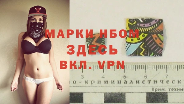 трава Бородино