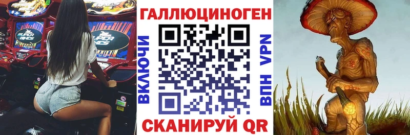 закладка  Котельнич  Псилоцибиновые грибы MAGIC MUSHROOMS 